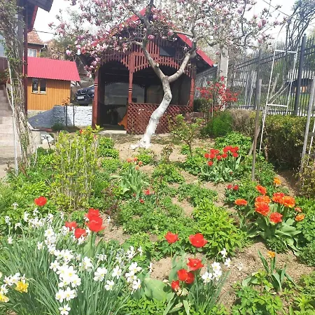 Pensiunea Dana Guest house