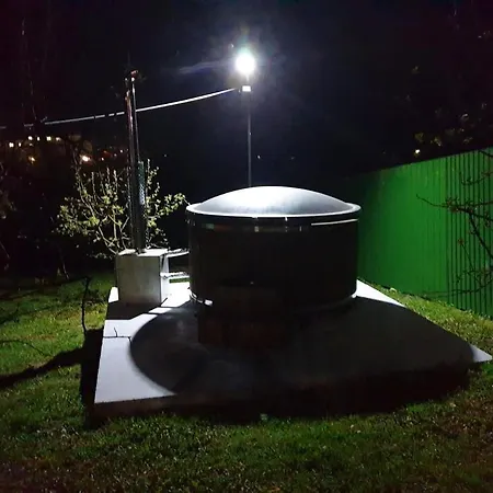 Guest house Pensiunea Dana 3*
