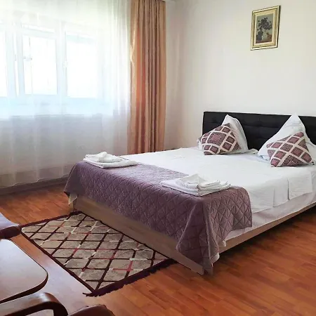 Guest house Pensiunea Dana 3*
