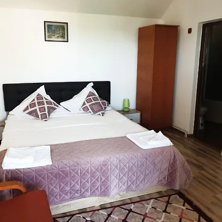 Guest house Pensiunea Dana