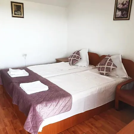 Guest house Pensiunea Dana