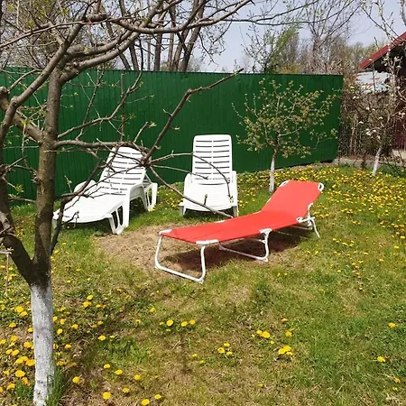 Pensiunea Dana Guest house