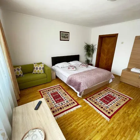 Guest house Pensiunea Dana 3*