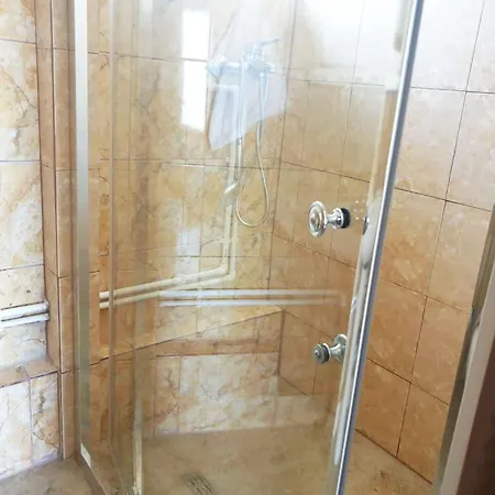 Guest house Pensiunea Dana