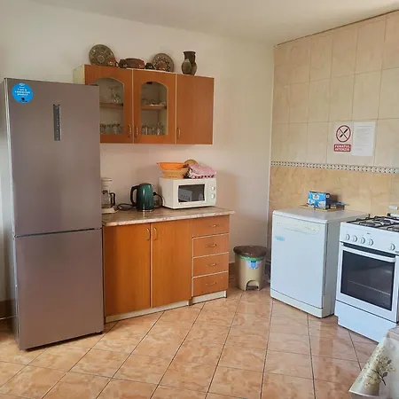 Pensiunea Dana Guest house