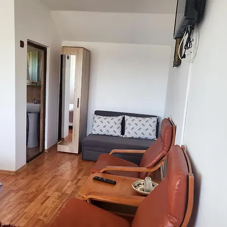 Guest house Pensiunea Dana