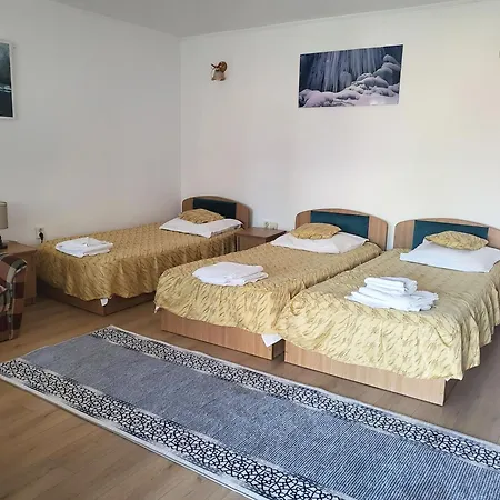 Pensiunea Dana Guest house