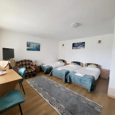 Pensiunea Dana Guest house Horezu