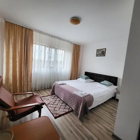 Pensiunea Dana Guest house 3*