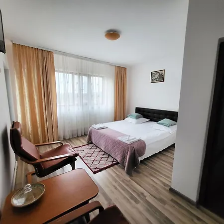 Pensiunea Dana Guest house