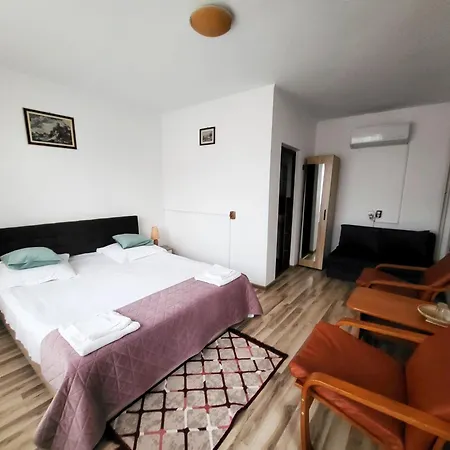 Pensiunea Dana Guest house 3*