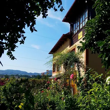 Guest house Pensiunea Dana