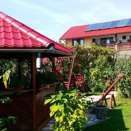 Guest house Pensiunea Dana