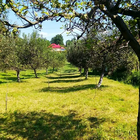Guest house Pensiunea Dana Horezu