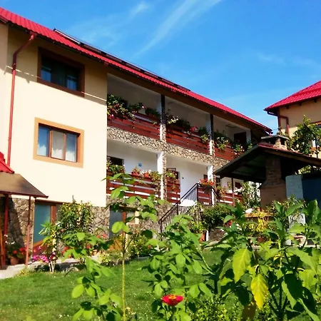Pensiunea Dana 3*