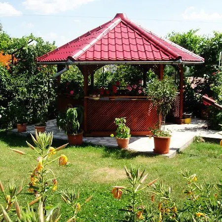 Pensiunea Dana 3*