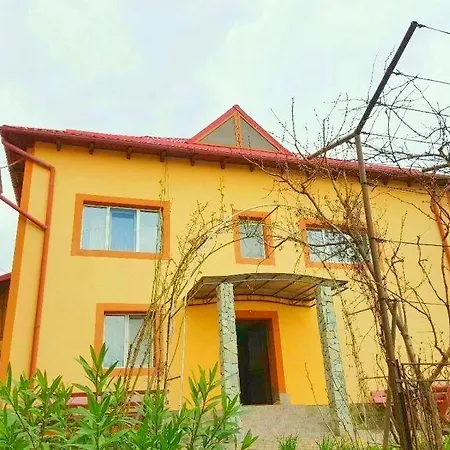 Pensiunea Dana 3*