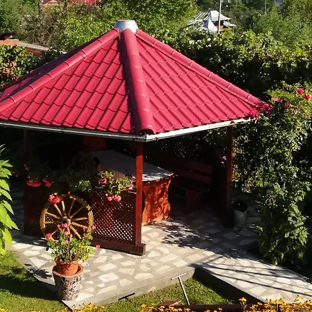 Pensiunea Dana Guest house