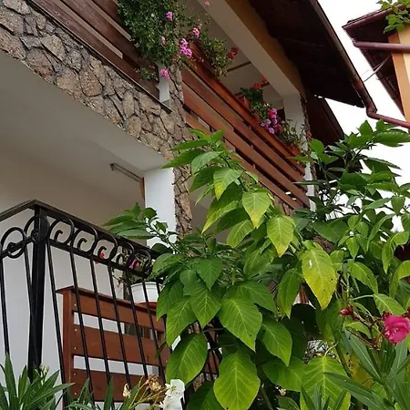 Guest house Pensiunea Dana Horezu