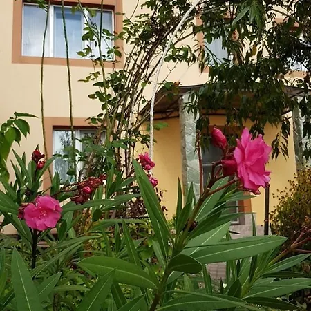Guest house Pensiunea Dana Horezu