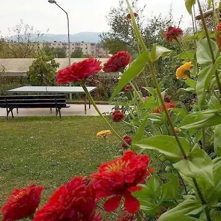 Guest house Pensiunea Dana 3*