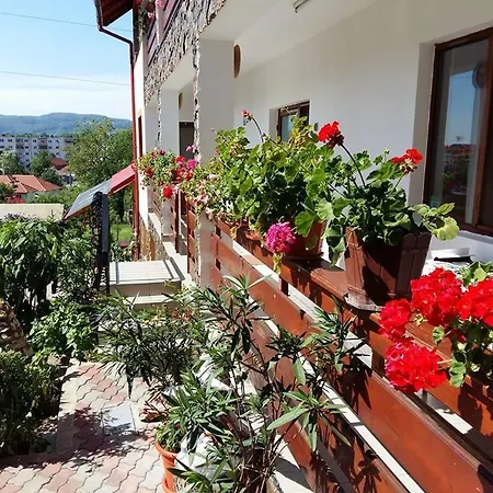 Guest house Pensiunea Dana
