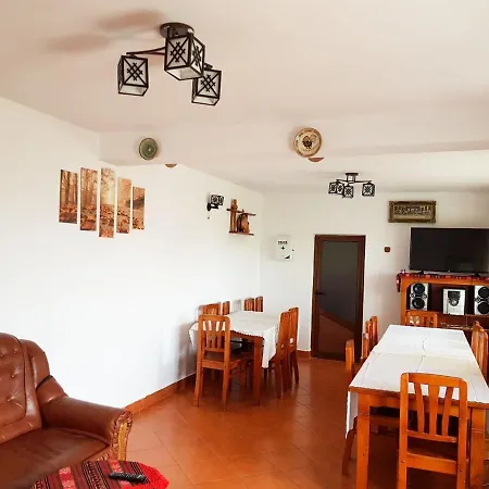 Pensiunea Dana Guest house